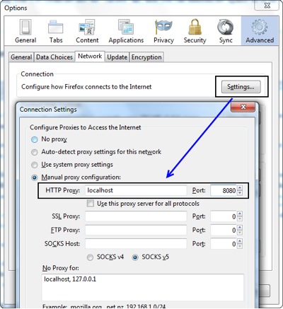 Set proxy configuration in the browser