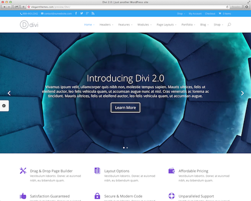 Divi Elegant WordPress Theme